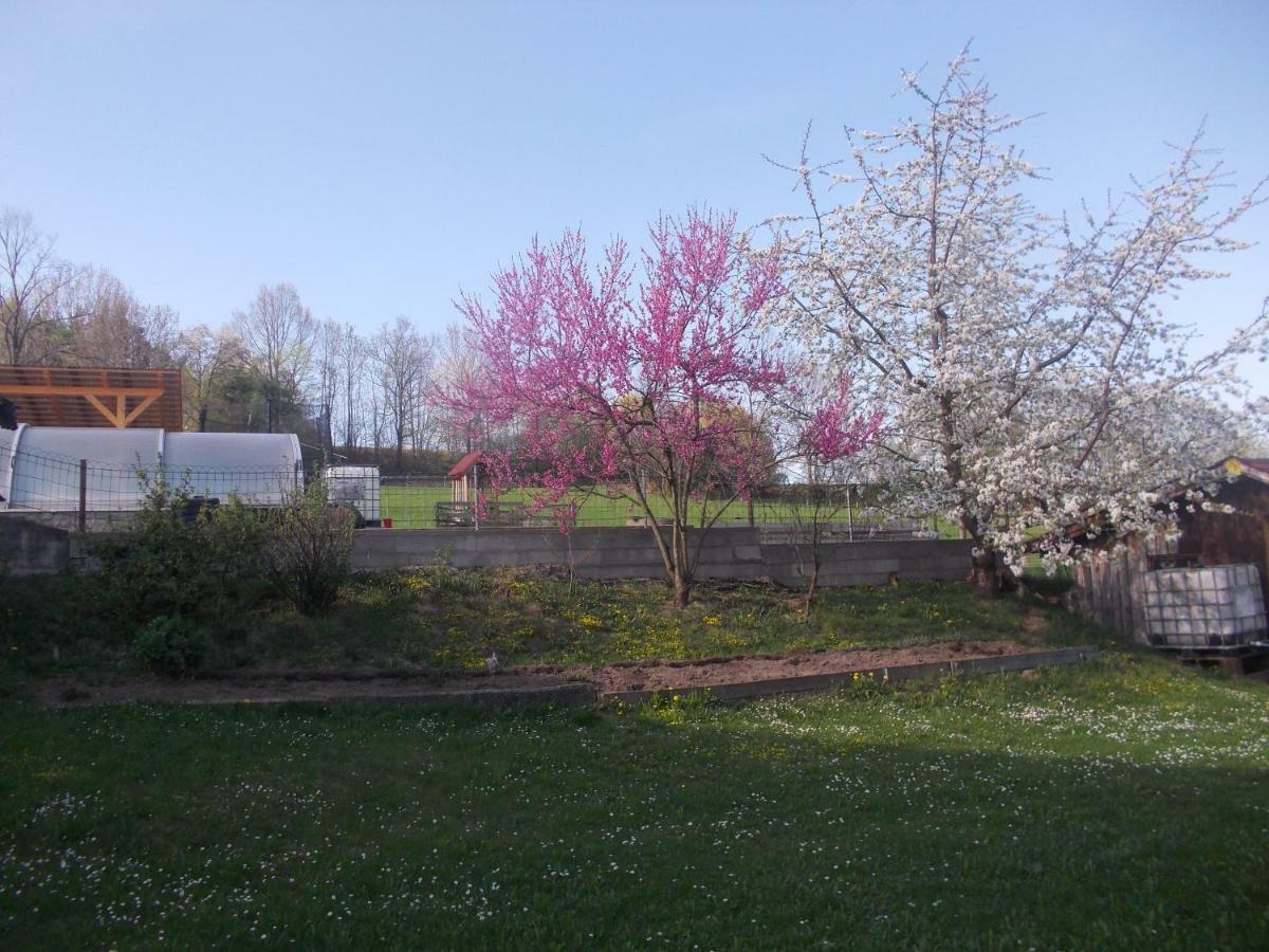 Sumavsky Domek V Zahori Bosice Exterior foto